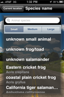 Moblie app screen with the title Species name, a search bar below it with the title animal species. A three cloumn table below the search bar with the boxes names Small, Medium, Large. Below that the six search results. On a background of a road with a blue sky and clouds.