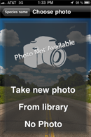 Mobile app screen with the title choose photo. A graphic of a camera with photo no avaliable across it. Below a list a three options: Take a new photo, from library, no photo. On a background of a road with a blue sky and clouds.