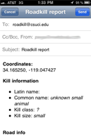 App screen titled roadkill report with an email of roadkill information